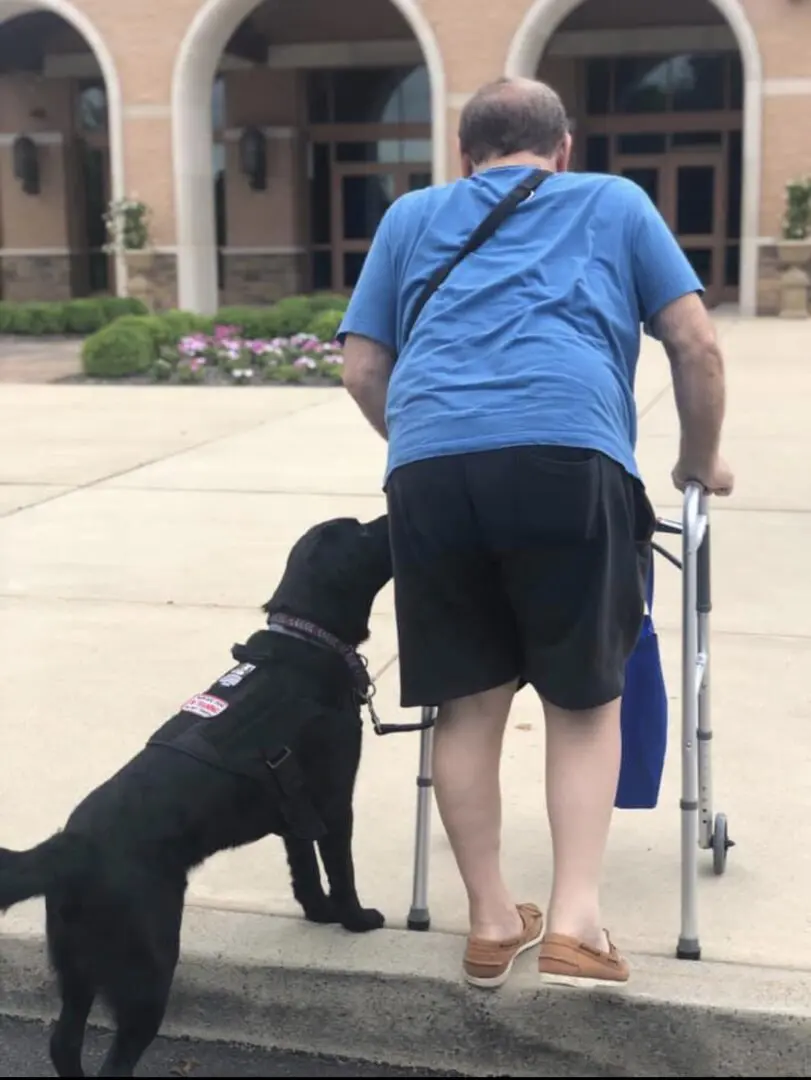 A man walking with a dog on a leash.