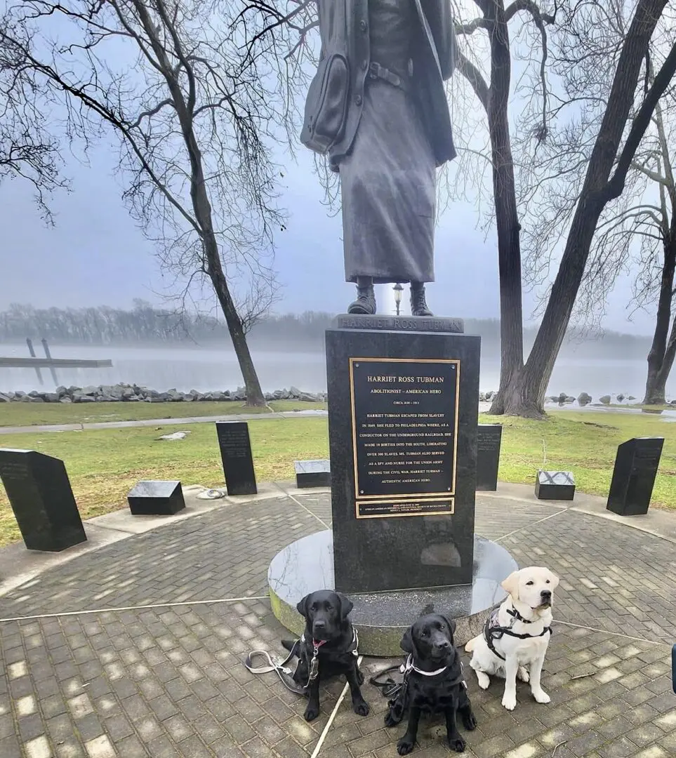 A statue of a man with two dogs on the ground.